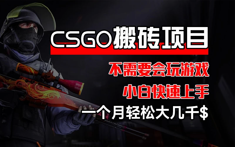 CSGO 装备搬砖项目，操作简单，不需要会玩游戏，小白也能快速上手，一个月轻松大几千 第1张